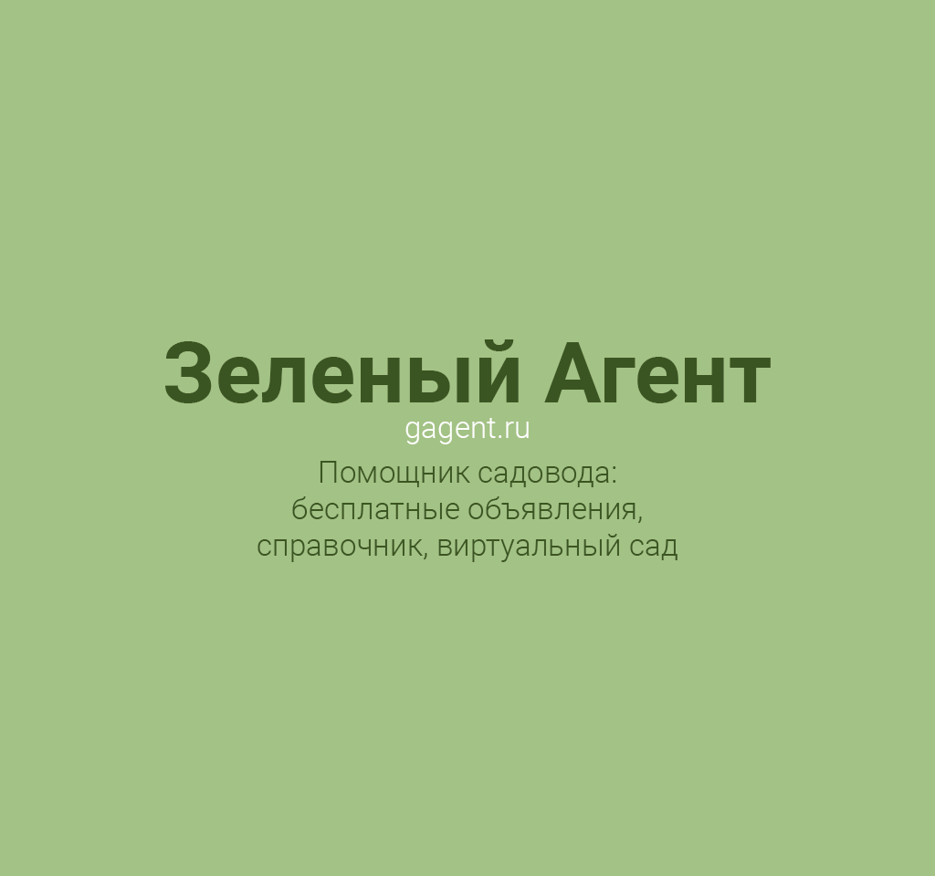 Зеленый Агент - помощник садовода: бесплатные объявления, справочник, виртуальный сад.